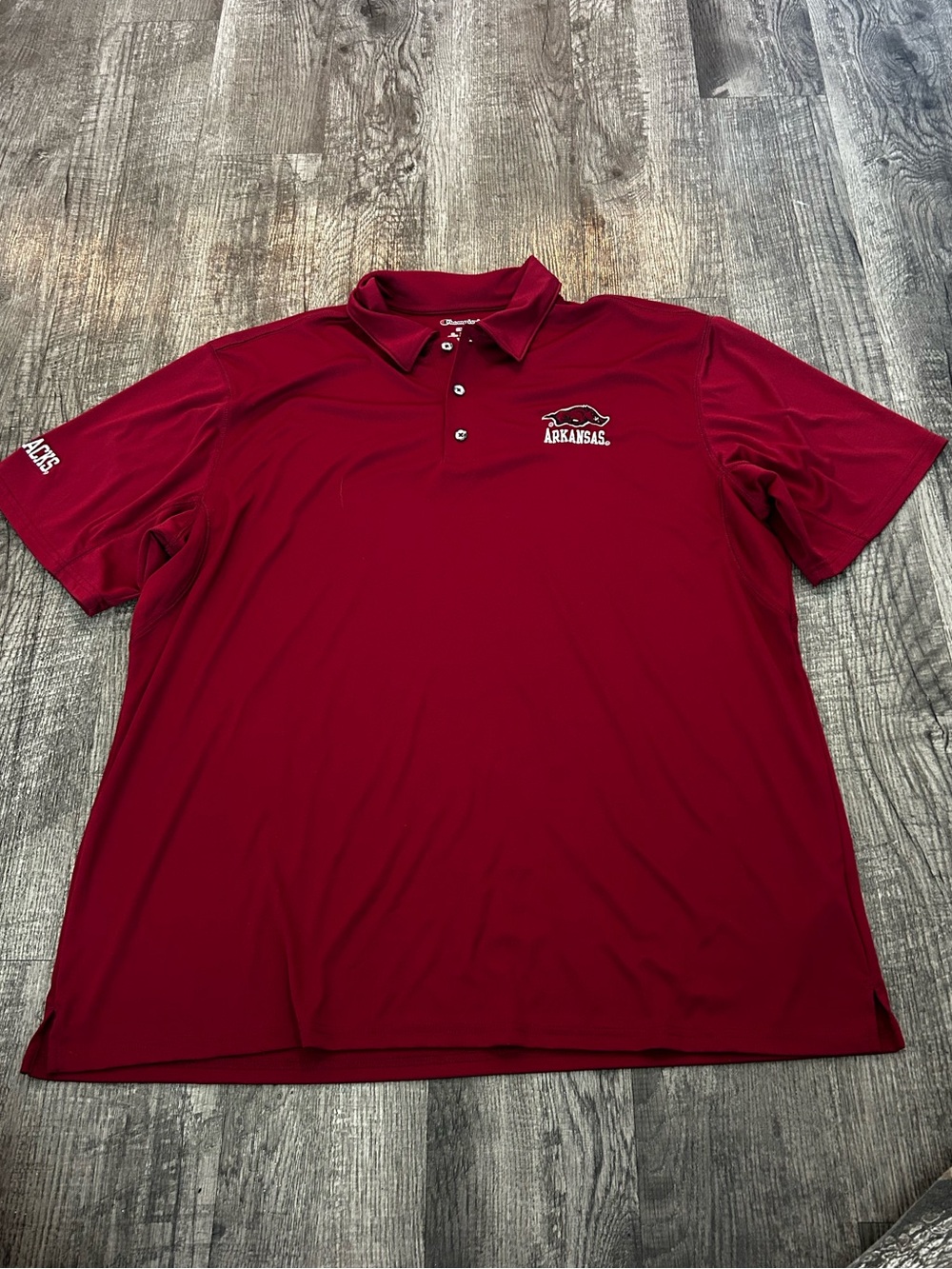 Champion Men's Cardinal Polo with Arkansas Logo